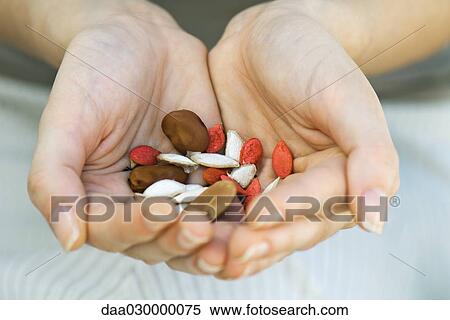 Handful of seeds and beans View Large Photo Image Stock Photography - Handful of seeds and beans. Fotosearch