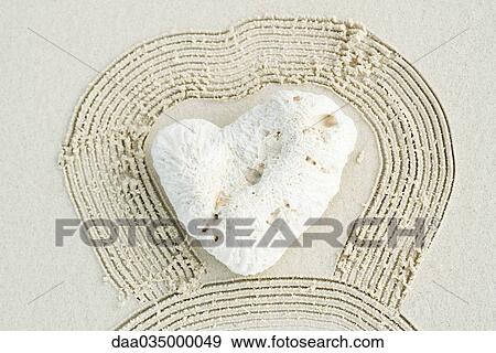 Heart-shaped coral outlined by raked sand View Large Photo Image Stock Photo - Heart-shaped coral outlined by raked sand. Fotosearch