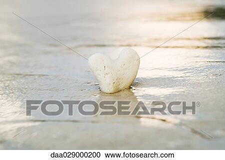 Stock Image - Heart shaped coral partially buried in surf, close-up. Fotosearch