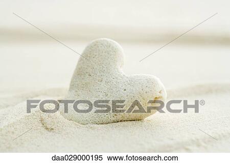 Heart-shaped coral partially buried in sand, close-up View Large Photo Image Stock Photography - Heart-shaped coral partially buried in sand, close-up. Fotosearch