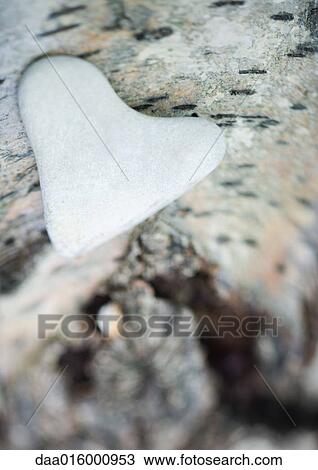 Heart-shaped stone on bark View Large Photo Image Stock Image - Heart-shaped stone on bark. Fotosearch