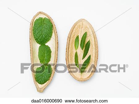 Herbs on dried husks View Large Photo Image Stock Image - Herbs on dried husks. Fotosearch