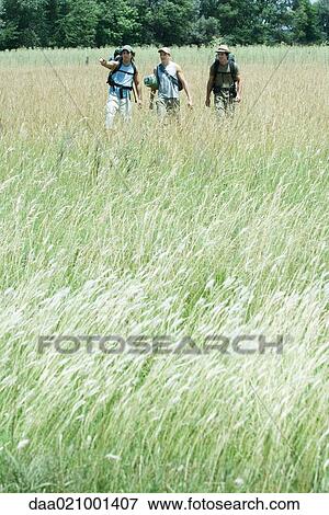 Stock Photo - Hikers walking through field. Fotosearch