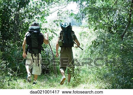 Stock Photo - Hikers walking through wooded area, rear view. Fotosearch