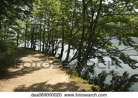Hiking trail along lake View Large Photo Image Stock Image - Hiking trail along lake. Fotosearch