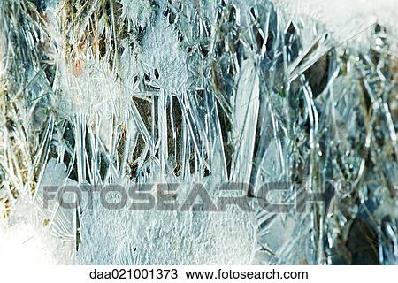 Icy vegetation, full frame View Large Photo Image Stock Image - Icy vegetation, full frame. Fotosearch