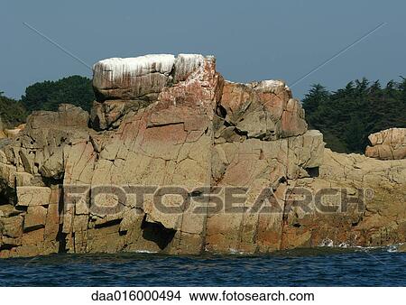 Ile de Brehat, Brittany, France, coastal rock face View Large Photo Image Picture - Ile de Brehat, Brittany, France, coastal rock face. Fotosearch