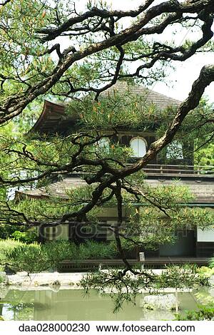 Stock Image - Japanese pagoda viewed through pine branches. Fotosearch