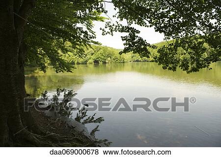 Lake View Large Photo Image Stock Photo - Lake. Fotosearch