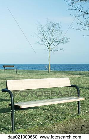 Lakeside park with benches View Large Photo Image Stock Image - Lakeside park with benches. Fotosearch