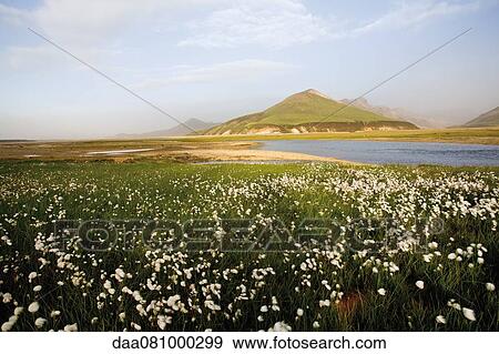 Landmannalaugar, Iceland View Large Photo Image Stock Photo - Landmannalaugar, Iceland. Fotosearch
