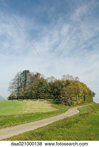 Landscape with road and grove of trees View Large Photo Image Stock Photo - Landscape with road and grove of trees. Fotosearch