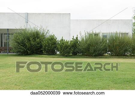 Landscaped grounds of office building View Large Photo Image Stock Photo - Landscaped grounds of office building. Fotosearch