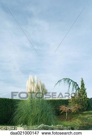 Stock Photo - Landscaped yard. Fotosearch
