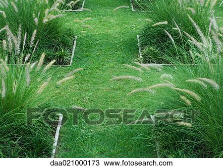 Landscaped yard with ornamental grasses View Large Photo Image Stock Image - Landscaped yard with ornamental grasses. Fotosearch