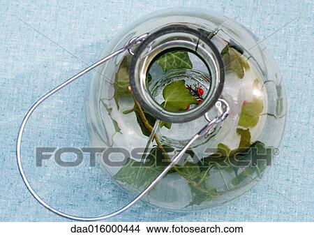 Lantern filled with ivy and berries, view from directly above View Large Photo Image Picture - Lantern filled with ivy and berries, view from directly above. Fotosearch