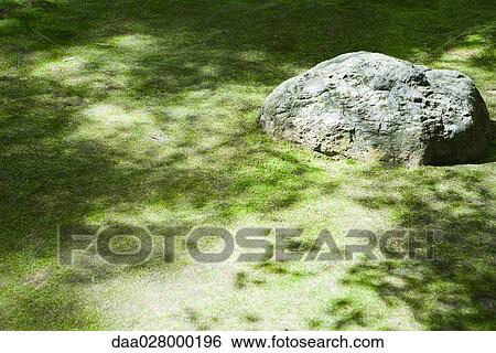 Leaf shadows on grass and rock View Large Photo Image Stock Photograph - Leaf shadows on grass and rock. Fotosearch