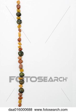 Stock Photo - Line of seeds. Fotosearch