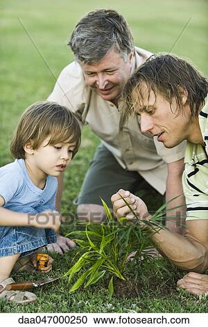 Stock Image - Little boy gardening with father and grandfather. Fotosearch