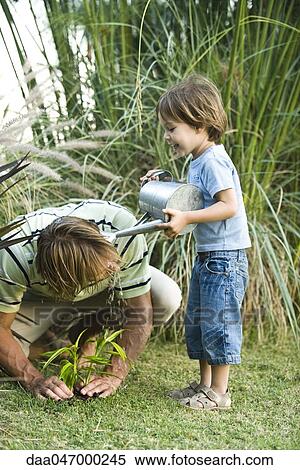 Little boy pouring water on his father's head as he works in garden View Large Photo Image Stock Photography - Little boy pouring water on his father's head as he works in garden. Fotosearch