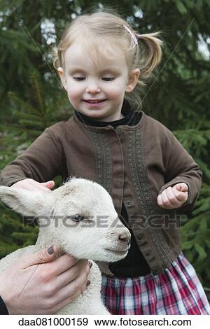 Stock Photo - Little girl petting lamb. Fotosearch
