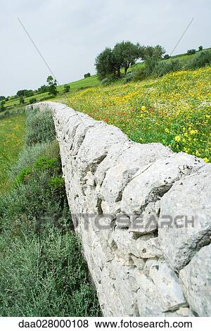 Stock Photo - Low stone wall in Mediterranean landscape. Fotosearch