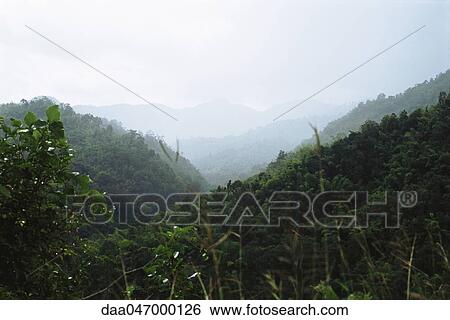 Lush mountain landscape View Large Photo Image Stock Photograph - Lush mountain landscape. Fotosearch