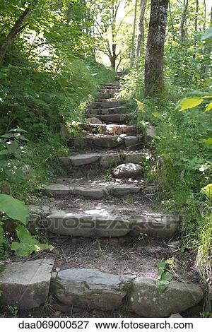 Lush stone steps leading up to woods View Large Photo Image Stock Photo - Lush stone steps leading up to woods. Fotosearch