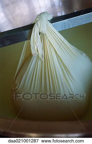Making cheese in cheesecloth View Large Photo Image Stock Photo - Making cheese in cheesecloth. Fotosearch