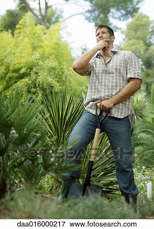 Man doing yard work, holding shovel, looking up View Large Photo Image Stock Photo - Man doing yard work, holding shovel, looking up. Fotosearch