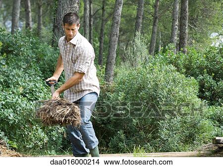 Man doing yard work View Large Photo Image Picture - Man doing yard work. Fotosearch