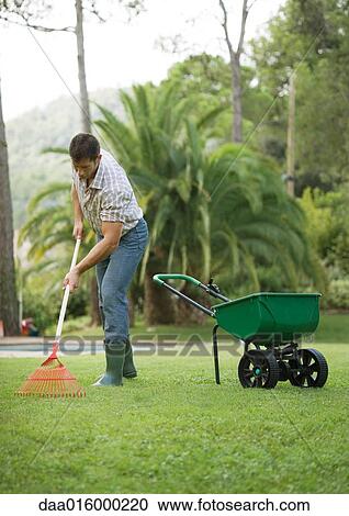 Man doing yard work View Large Photo Image Stock Image - Man doing yard work. Fotosearch