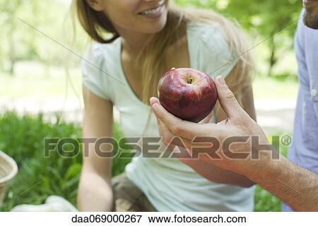 Man holding apple at picnic, cropped View Large Photo Image Stock Photo - Man holding apple at picnic, cropped. Fotosearch