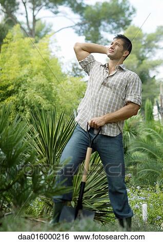 Man holding shovel, hand behind head, looking up View Large Photo Image Stock Photograph - Man holding shovel, hand behind head, looking up. Fotosearch
