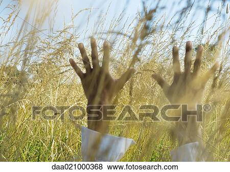 Stock Photo - Man in field, raising hands, cropped view. Fotosearch