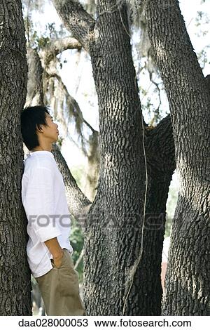 Man leaning against tree trunk View Large Photo Image Stock Image - Man leaning against tree trunk. Fotosearch