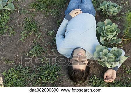 Man lying on ground, arm around cabbage plant, directly above View Large Photo Image Stock Image - Man lying on ground, arm around cabbage plant, directly above. Fotosearch