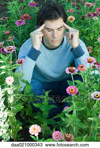 Man sitting in flowers, eyes closed and hands on temples View Large Photo Image Stock Image - Man sitting in flowers, eyes closed and hands on temples. Fotosearch