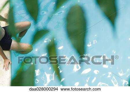 Man sitting on edge of swimming pool, cropped high angle view, foliage in foreground View Large Photo Image Picture - Man sitting on edge of swimming pool, cropped high angle view, foliage in foreground. Fotosearch