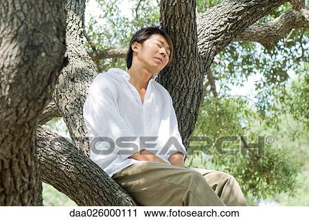 Man sitting on tree branch, eyes closed View Large Photo Image Stock Image - Man sitting on tree branch, eyes closed. Fotosearch