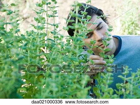 Stock Photograph - Man smelling herbs. Fotosearch