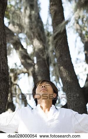 Man standing amongst trees, head back and eyes closed View Large Photo Image Picture - Man standing amongst trees, head back and eyes closed. Fotosearch