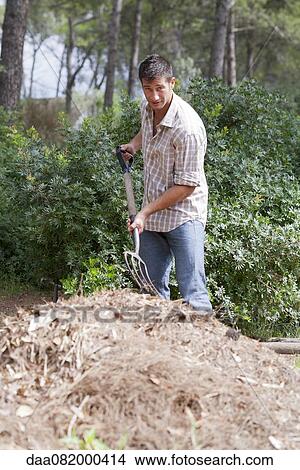 Picture - Man standing by heap of straw, holding gardening fork. Fotosearch