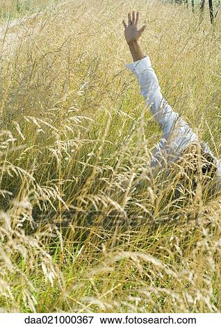 Man standing in field, raising arm, leaning over View Large Photo Image Stock Photo - Man standing in field, raising arm, leaning over. Fotosearch