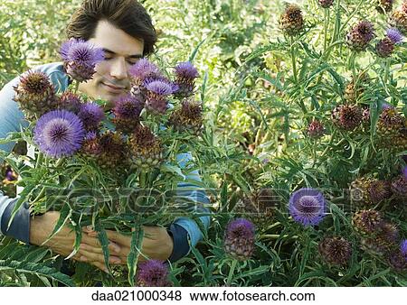 Man standing in flowers, eyes closed View Large Photo Image Stock Photo - Man standing in flowers, eyes closed. Fotosearch