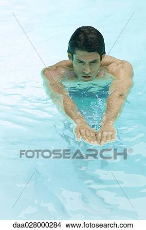Man swimming in pool, arms out, high angle view View Large Photo Image Picture - Man swimming in pool, arms out, high angle view. Fotosearch