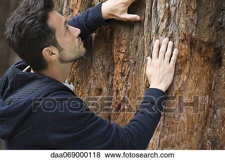 Man touching tree bark View Large Photo Image Stock Photo - Man touching tree bark. Fotosearch