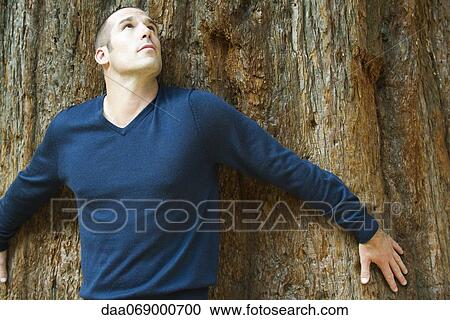 Stock Image - Man touching tree trunk, looking up. Fotosearch