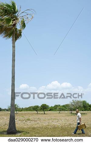 Man walking in tropical landscape, carrying suitcase View Large Photo Image Stock Image - Man walking in tropical landscape, carrying suitcase. Fotosearch