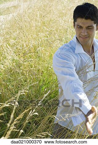 Man walking through field, touching tall grass View Large Photo Image Stock Image - Man walking through field, touching tall grass. Fotosearch